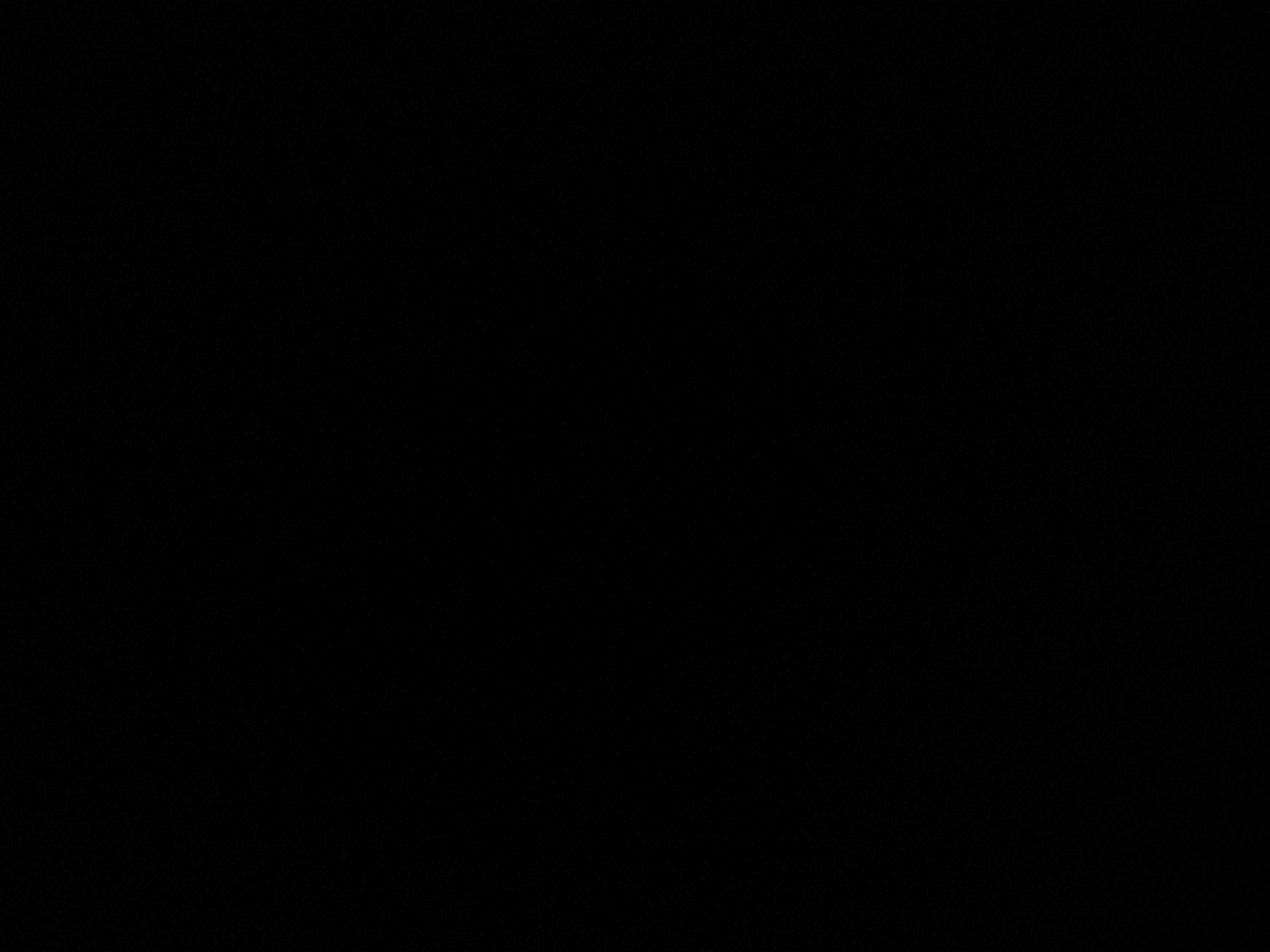 20190225_151553.jpg