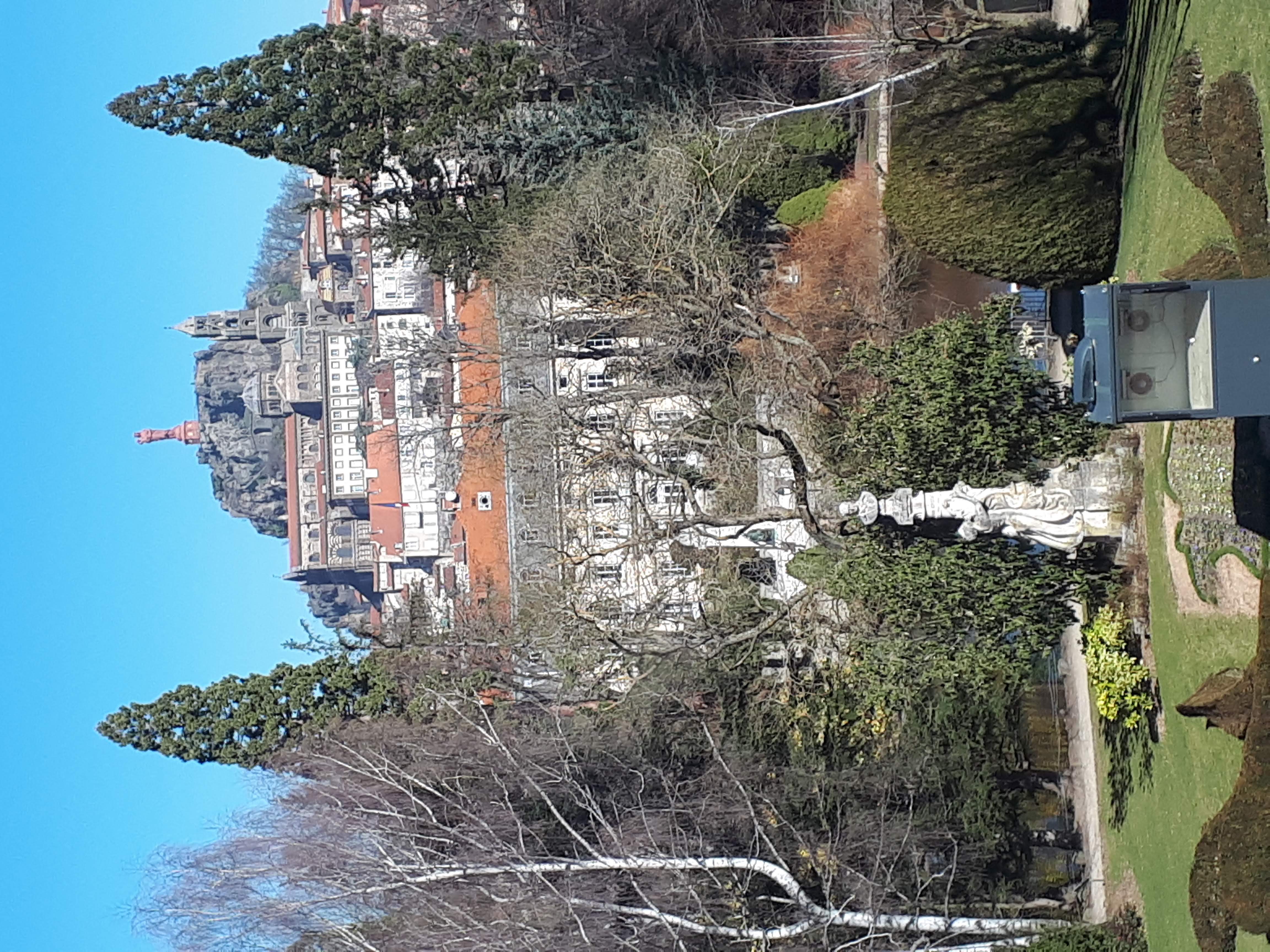 20190227_120332.jpg